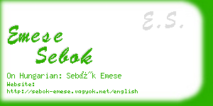 emese sebok business card